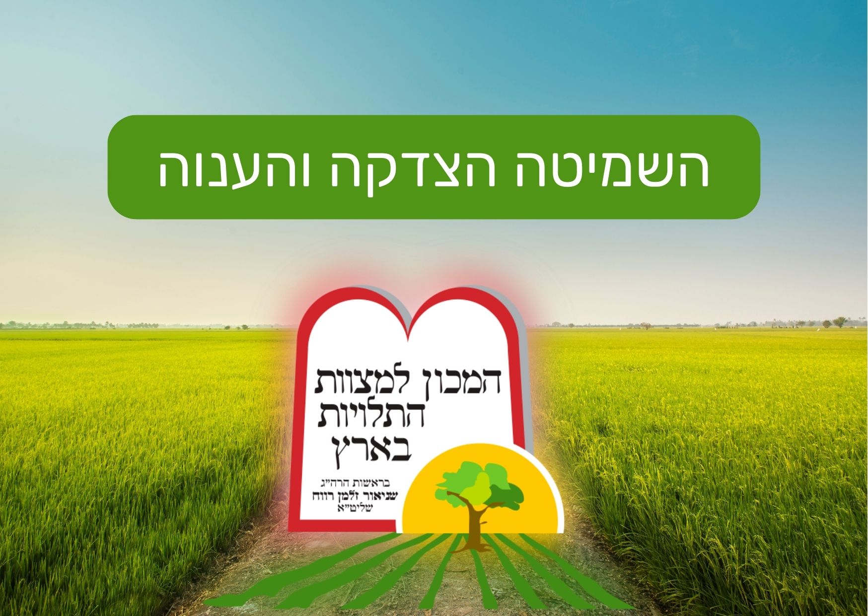 השמיטה הצדקה והענוה