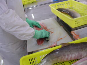 עיבוד של דגי סלמון צ'אם בסין