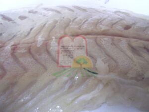 אספורוזאים בתוך בשר המרלוזה