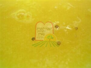 פירות הדר- מחית תפוזים קפוא (שמעובד יחד עם גרידת הקליפה) עם כנימות מגן שצפות למעלה