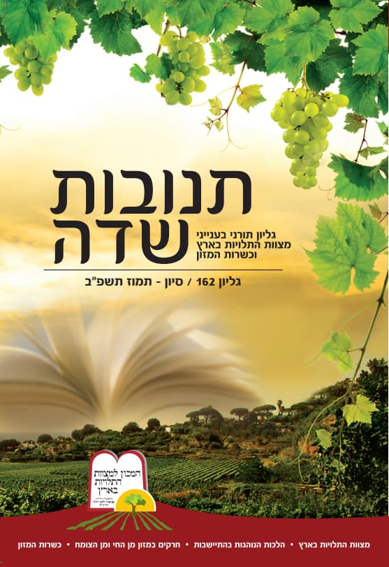 162 - סיוון - תמוז תשפ"ב