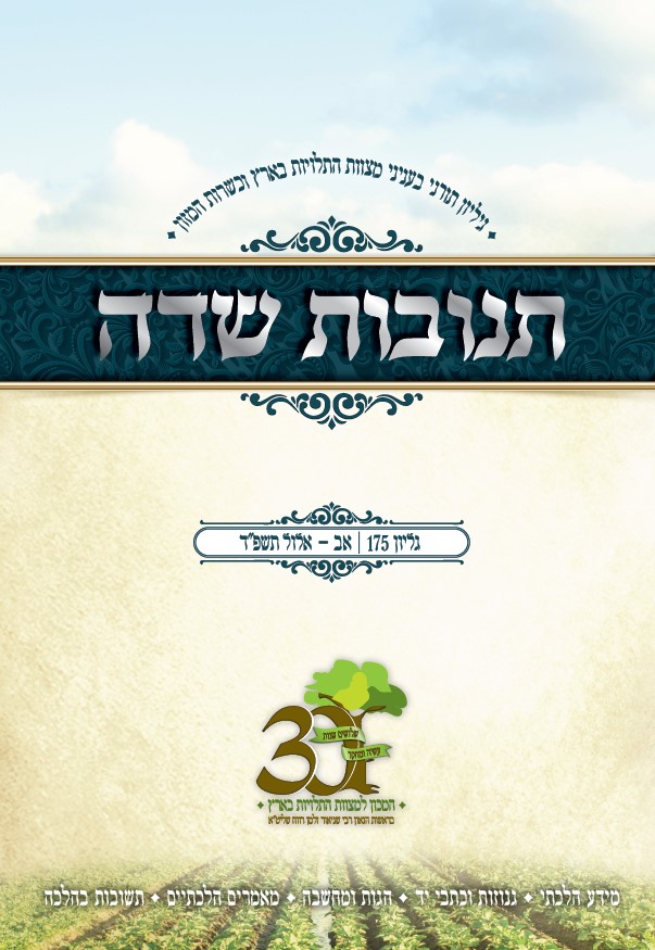 175 - אב - אלול תשפ"ד