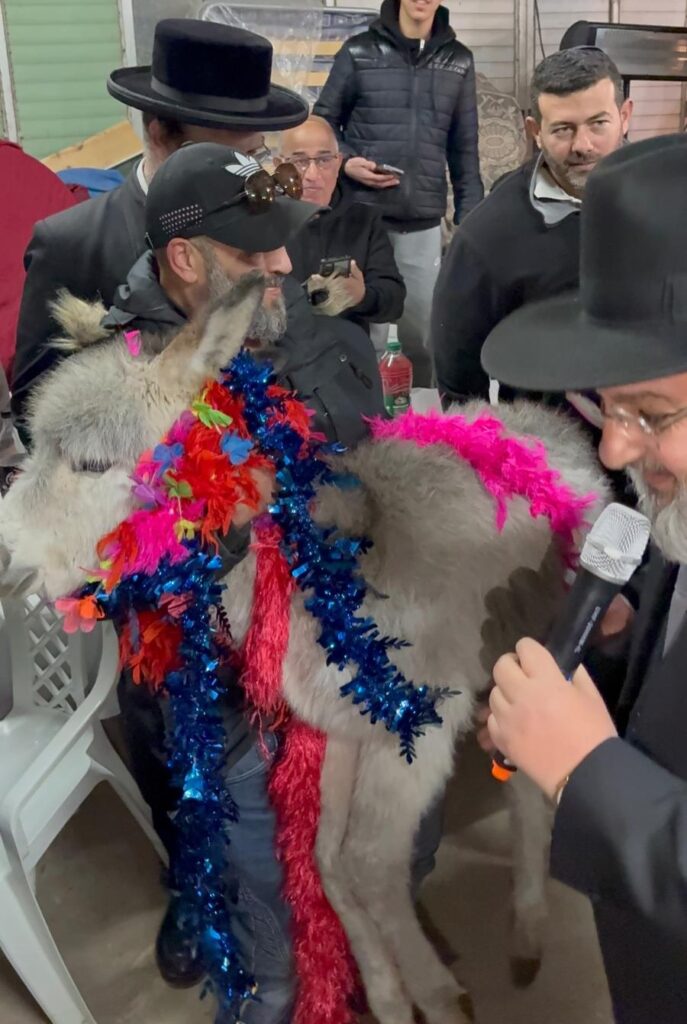 מעמד פדיון פטר חמור ישעי 1